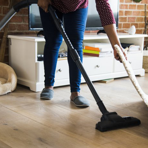 House Cleaning Services